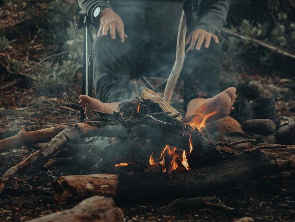 Les défis actuels du japon : politique, société et environnement