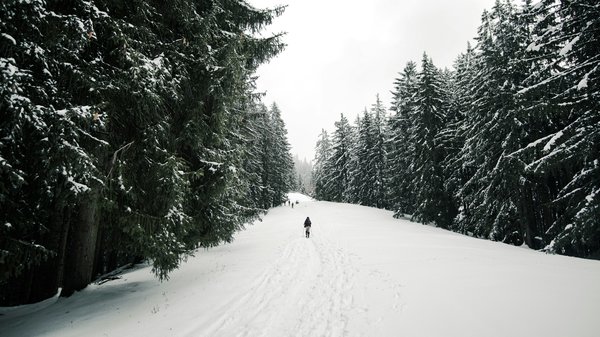 Comment préparer une randonnée en raquettes dans les Alpes suisses : équipements et itinéraires ?